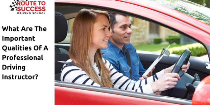 Professional Driving Instructor